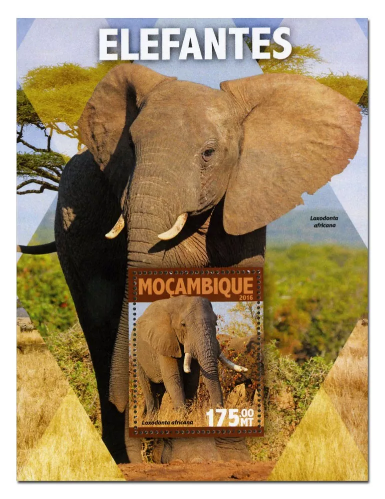 n° 1049 : Timbre MOZAMBIQUE Blocs et feuillets