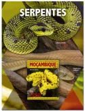 n° 1055 : Timbre MOZAMBIQUE Blocs et feuillets