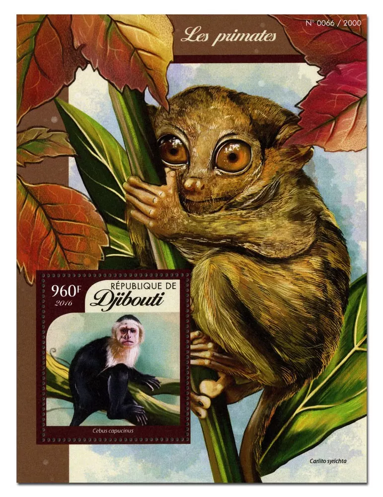 n° 27 : Timbre DJIBOUTI Blocs et feuillets