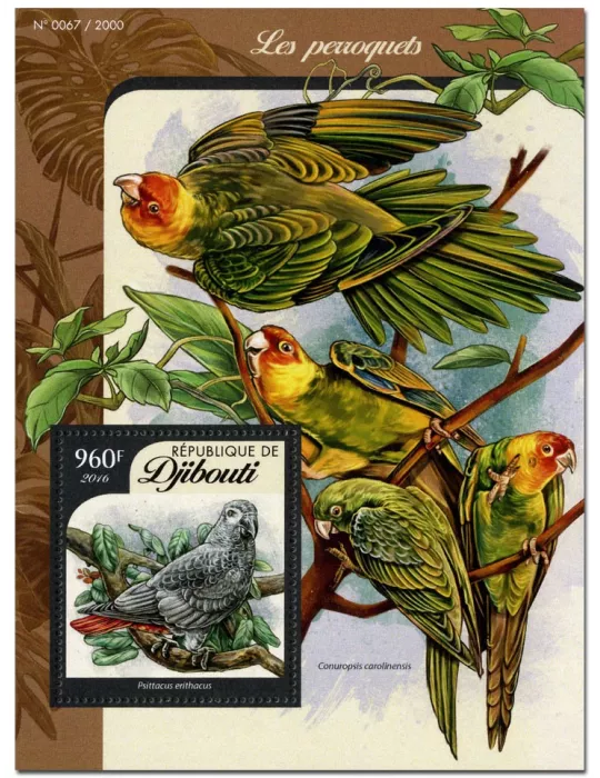 n° 36 : Timbre DJIBOUTI Blocs et feuillets