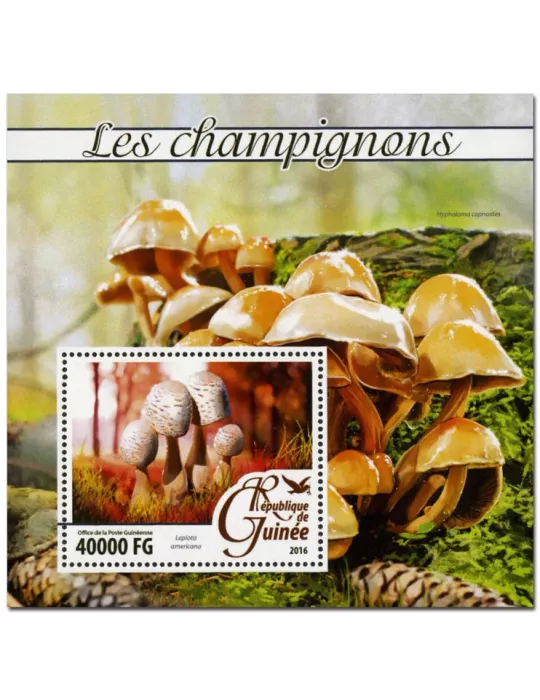 n° 1928 : Timbre GUINÉE Blocs et feuillets