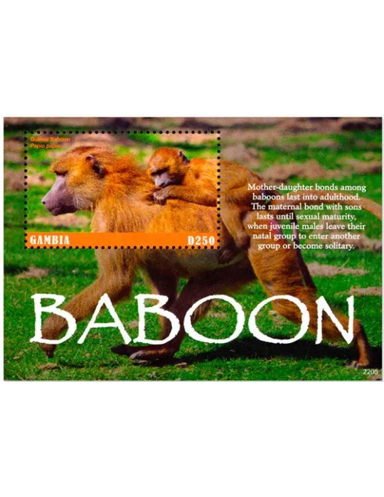 n° 970 - Timbre GAMBIE Blocs et feuillets