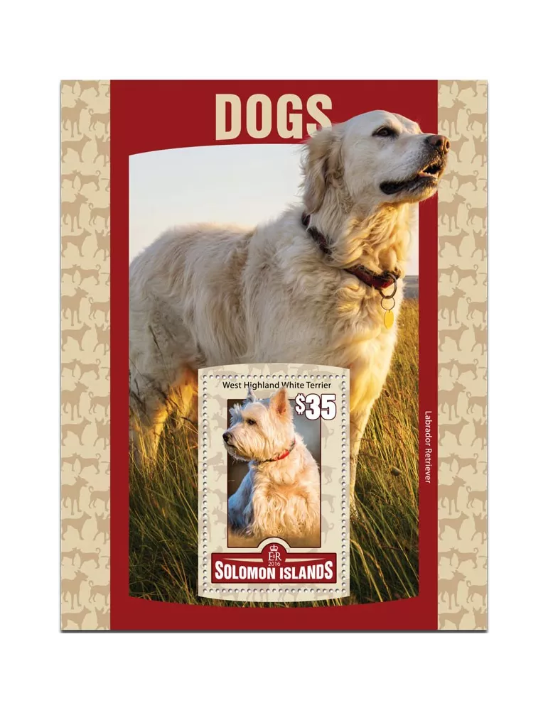 n° 494 : Timbre SALOMON Blocs et feuillets