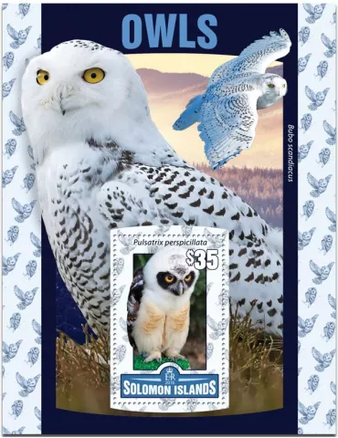 n° 504 : Timbre SALOMON Blocs et feuillets