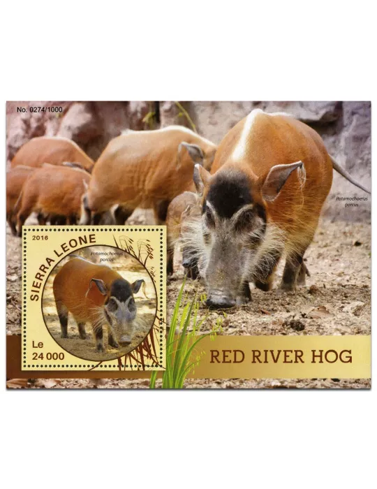 n° 887 : Timbre SIERRA LEONE Blocs et feuillets