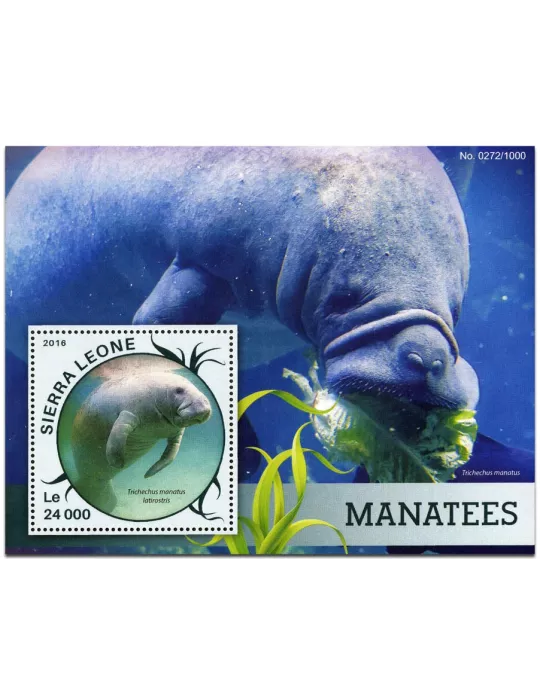 n° 888 : Timbre SIERRA LEONE Blocs et feuillets