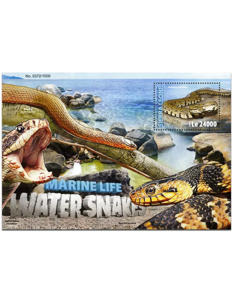 n° 926 : Timbre SIERRA LEONE Blocs et feuillets