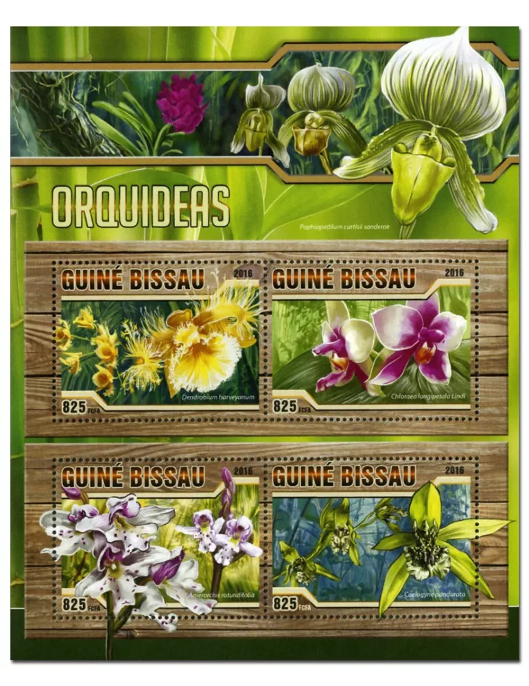 n° 6500 : Timbre GUINÉE-BISSAU Poste