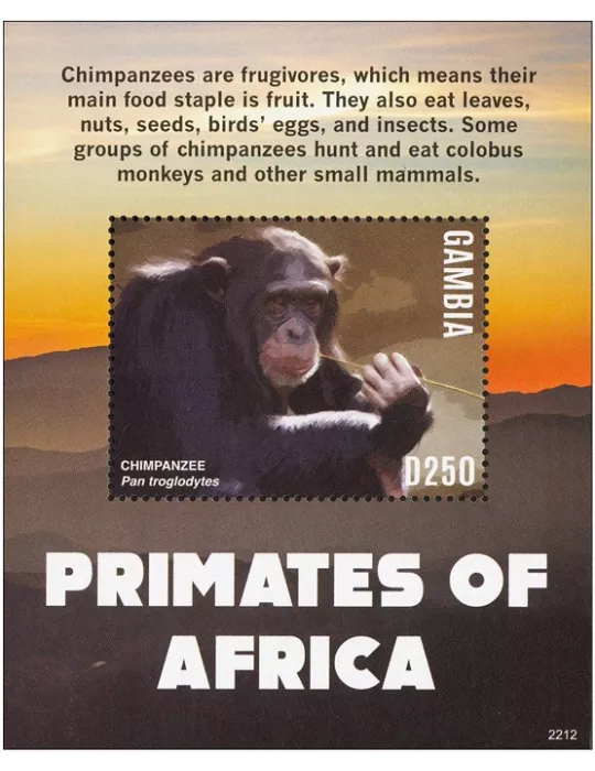 n° 977 - Timbre GAMBIE Blocs et feuillets