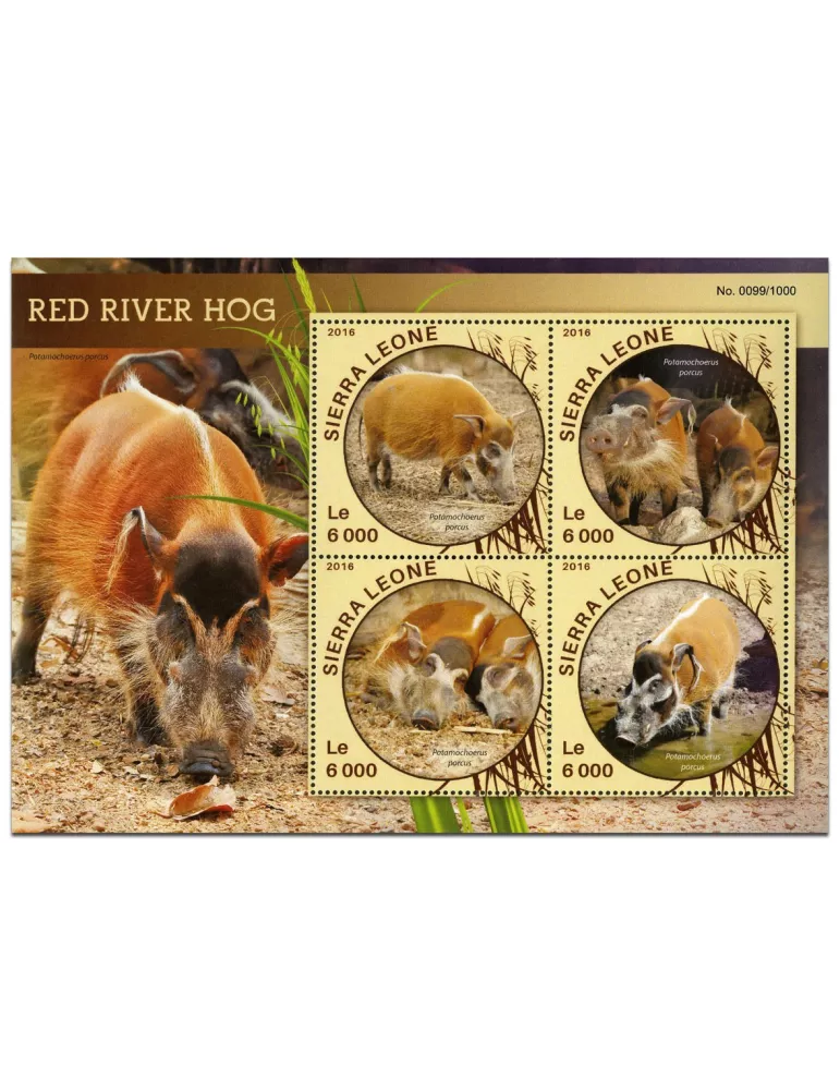 n° 5709 : Timbre SIERRA LEONE Poste