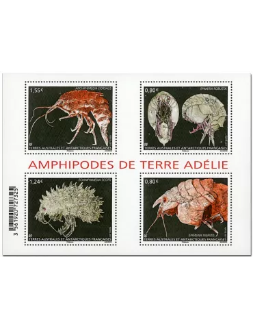 n° F807 - Timbre TAAF Poste