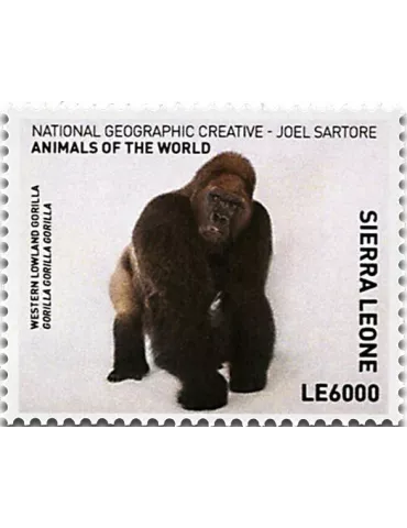 n° 6605 - Timbre SIERRA LEONE Poste 2