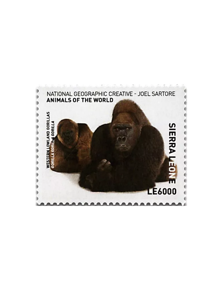 n° 6605 - Timbre SIERRA LEONE Poste