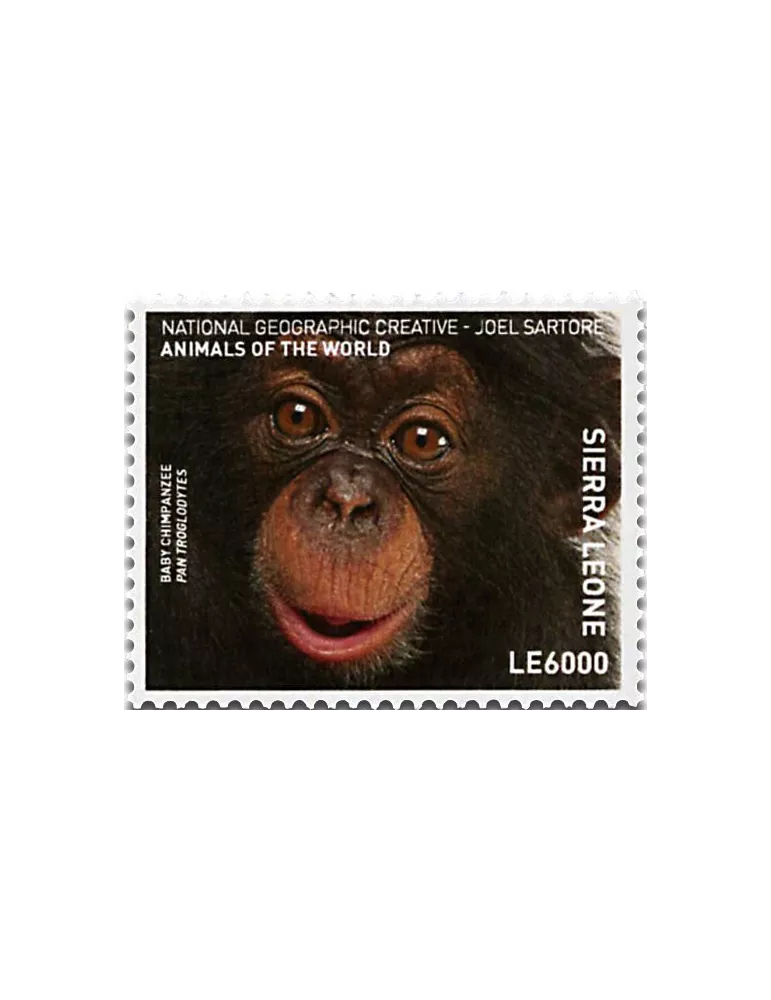 n° 6605 - Timbre SIERRA LEONE Poste
