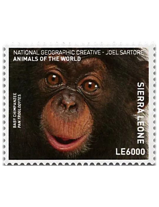 n° 6605 - Timbre SIERRA LEONE Poste
