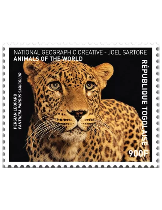 n° 5430 - Timbre TOGO Poste