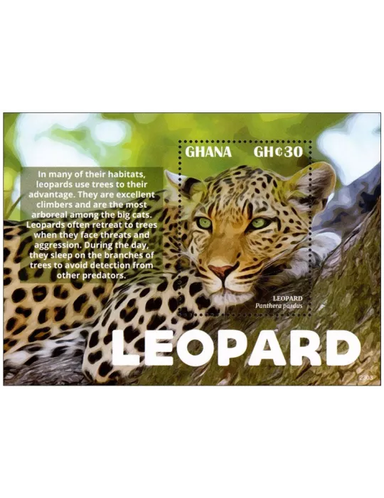 n° 592 - Timbre GHANA Blocs et feuillets
