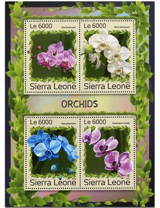 n° 6545 - Timbre SIERRA LEONE Poste