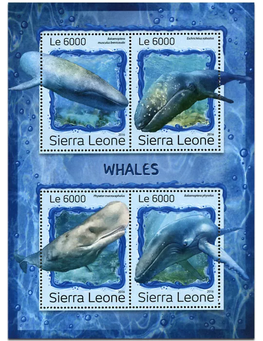 n° 6561 - Timbre SIERRA LEONE Poste