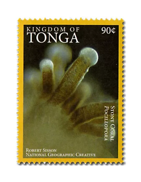 n° 1468A - Timbre TONGA Poste