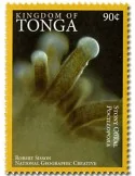 n° 1468A - Timbre TONGA Poste