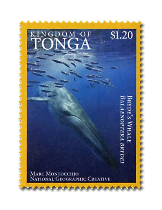 n° 1468A - Timbre TONGA Poste