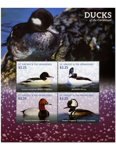 n° 6021 - Timbre SAINT-VINCENT Poste