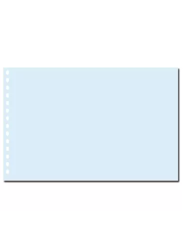 FEUILLES TRANSPARENTES - SAFE (pour Grand Album A3 - 1021S)