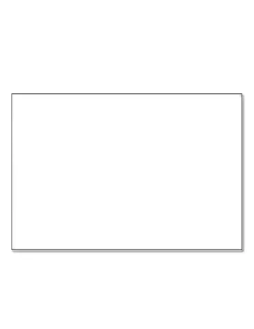 SUPPORT CARTONNE BLANC - SAFE (par 10)