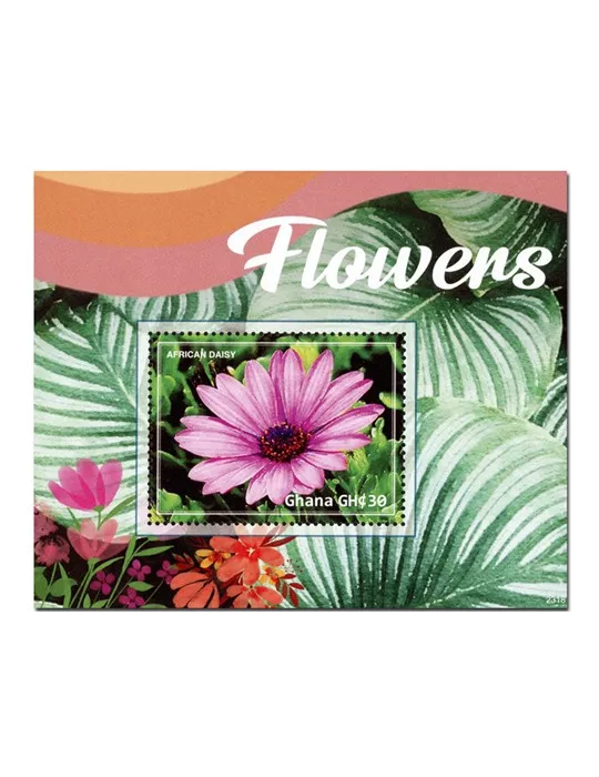 n° 607 - Timbre GHANA Blocs et feuillets