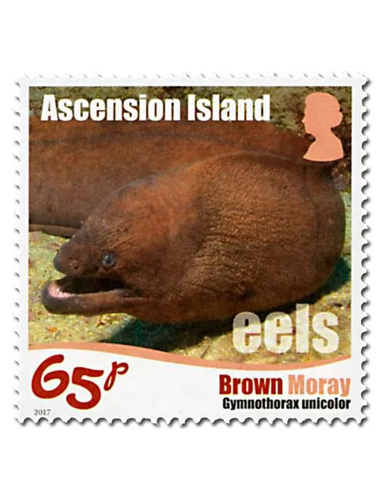 n° 1175/1180 - Timbre ASCENSION Poste