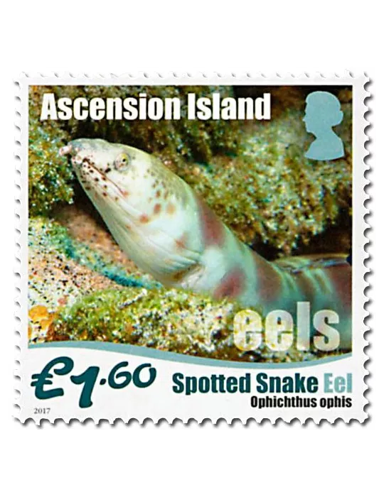 n° 1175/1180 - Timbre ASCENSION Poste