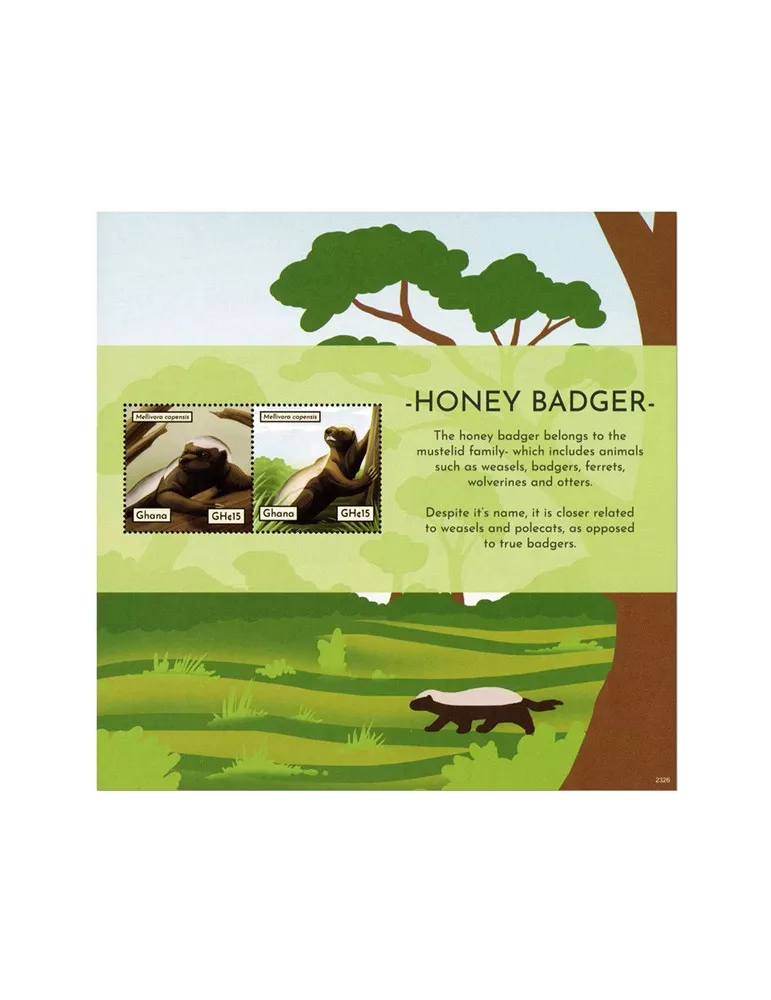 n° 615 - Timbre GHANA Blocs et feuillets