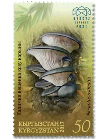 n° 46/49 - Timbre KIRGHIZISTAN (Kyrgyz Express Post) Poste