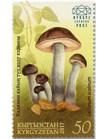 n° 46/49 - Timbre KIRGHIZISTAN (Kyrgyz Express Post) Poste 2