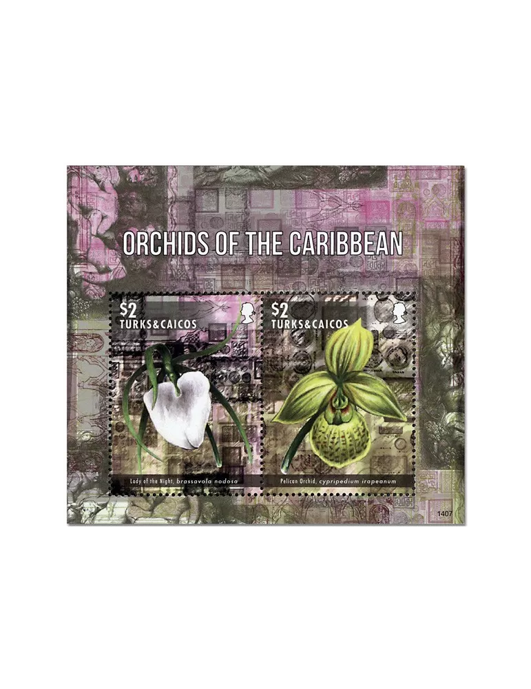 n° 257A - Timbre TURKS ET CAIQUES Blocs et feuillets