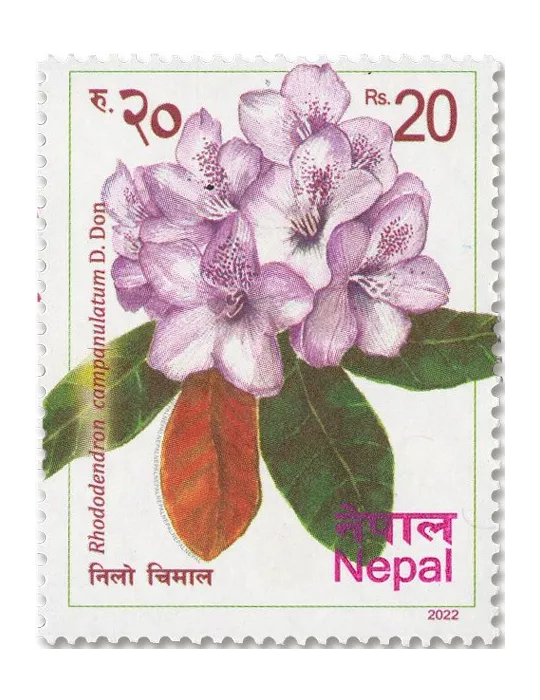 n° 1372/1377 - Timbre NEPAL Poste