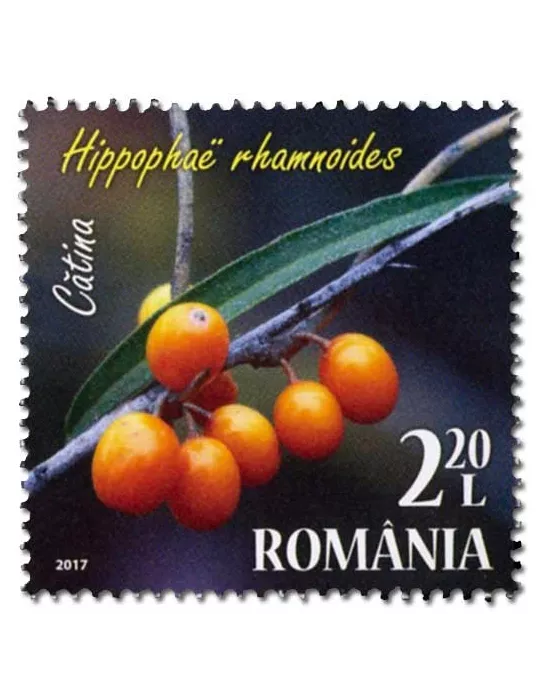 n° 6201/6204 - Timbre ROUMANIE Poste