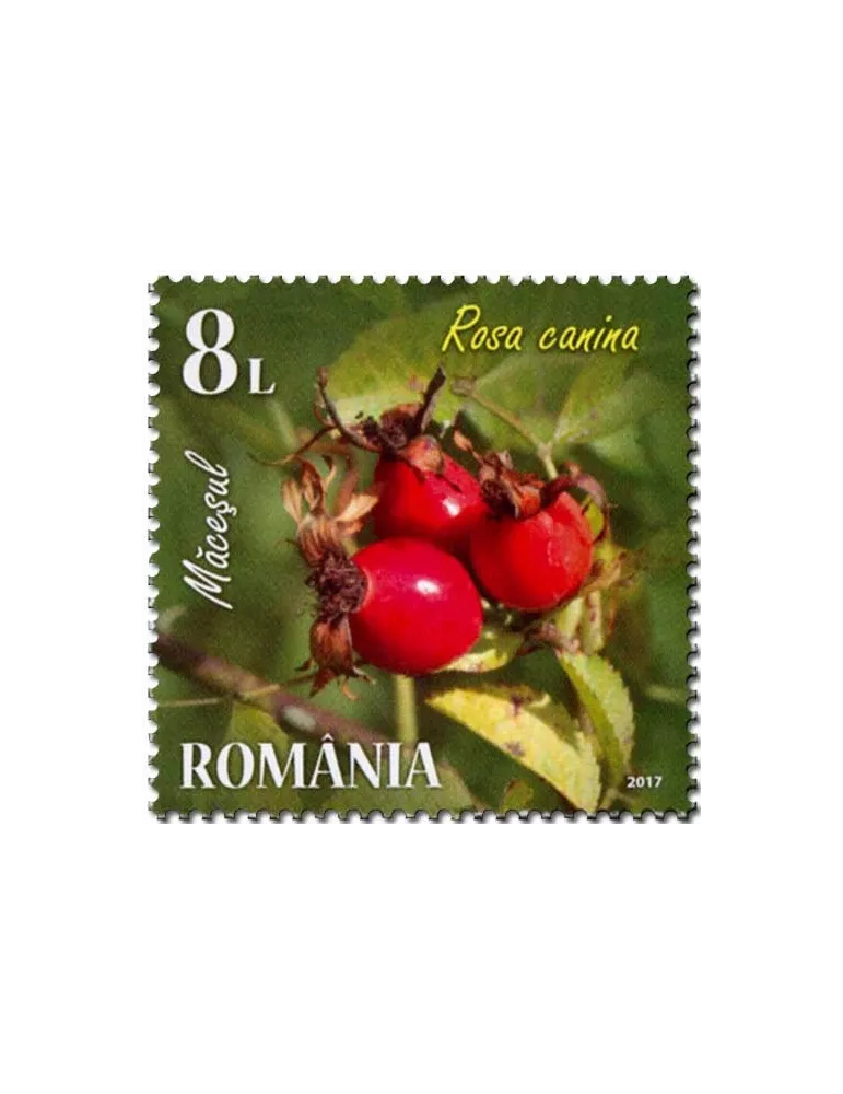 n° 6201/6204 - Timbre ROUMANIE Poste