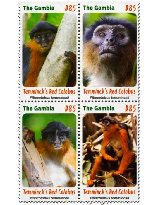 n° 5686/5689 - Timbre GAMBIE Poste