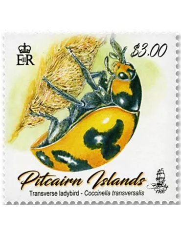 n°913/914 - Timbre PITCAIRN Poste 2