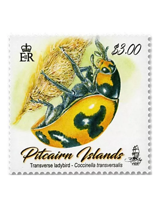 n°913/914 - Timbre PITCAIRN Poste