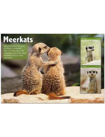 n° 888 - Timbre GAMBIE Blocs et feuillets