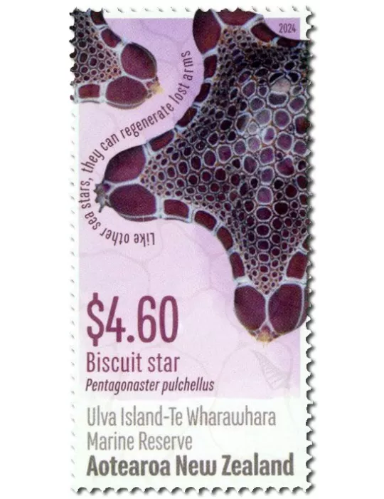 n° 3803/3806 - Timbre NOUVELLE-ZELANDE Poste