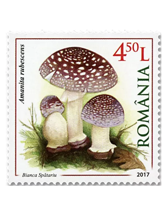 n° 6205/6208 - Timbre ROUMANIE Poste