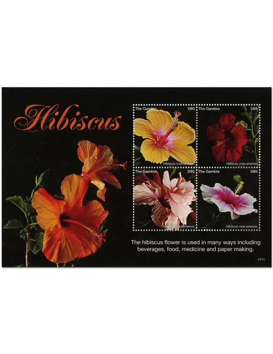 n° 5794/5797 - Timbre GAMBIE Poste