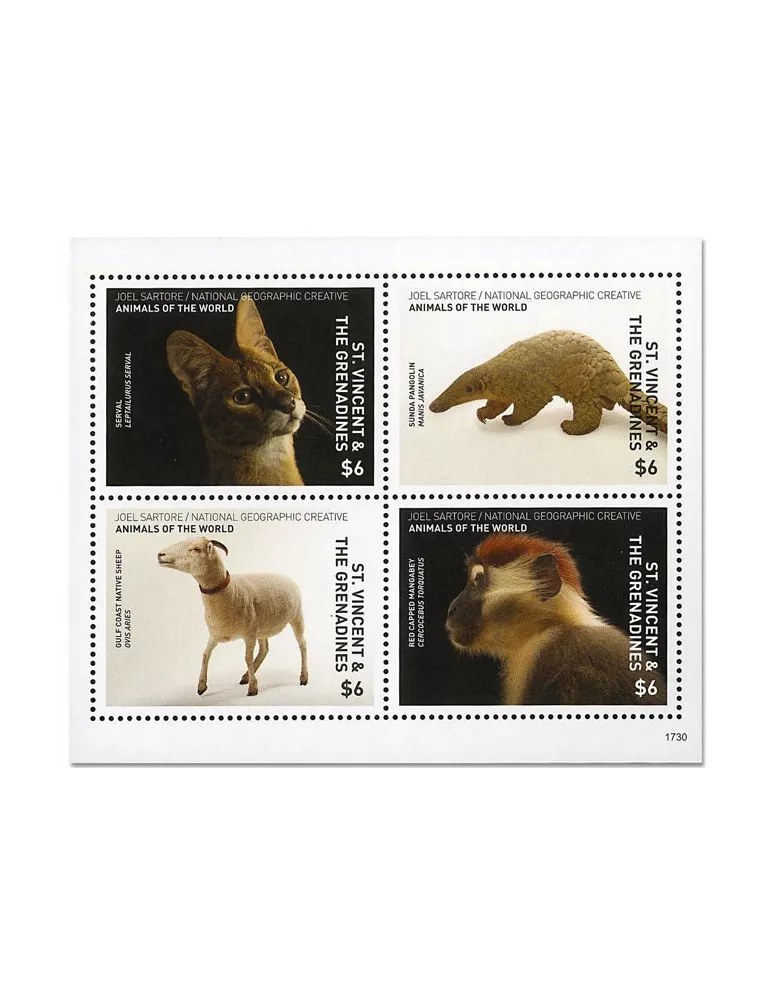 n° 6242/645 - Timbre SAINT-VINCENT Poste