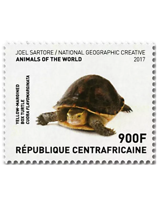 n° 5269/5272 - Timbre CENTRAFRIQUE Poste