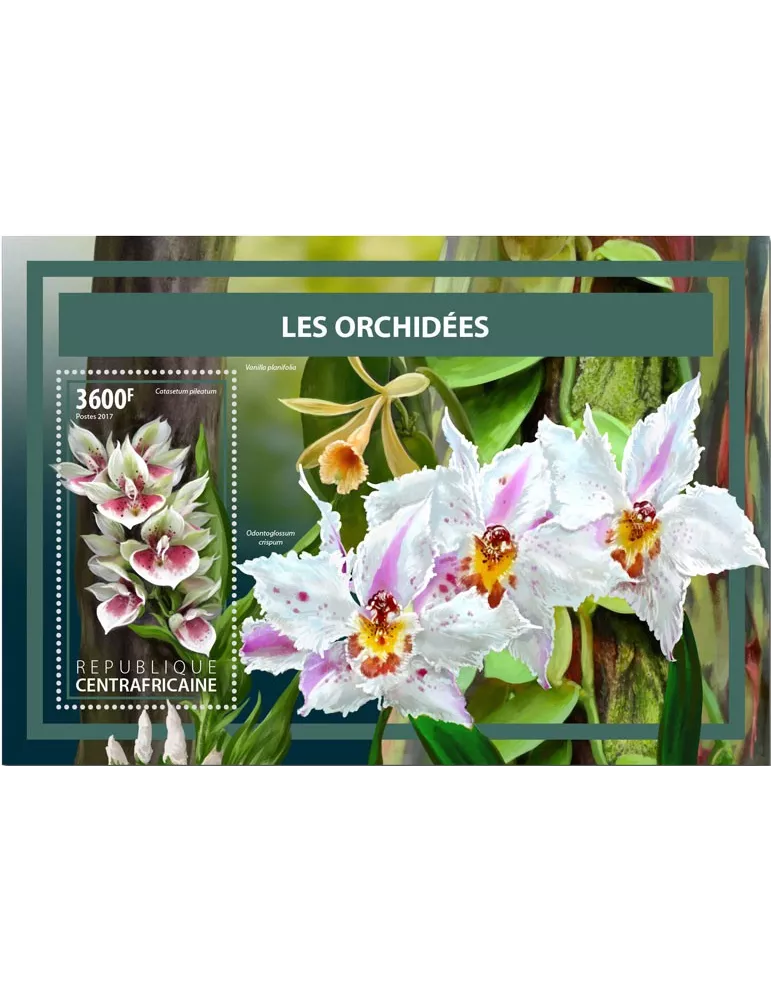 n° 1167 - Timbre CENTRAFRIQUE Blocs et feuillets