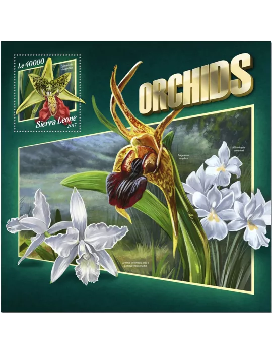 n° 1275 - Timbre SIERRA LEONE Blocs et feuillets